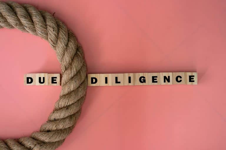 Due Diligence