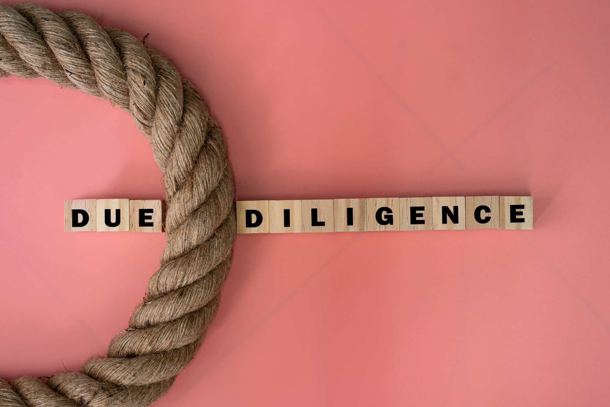 Due Diligence