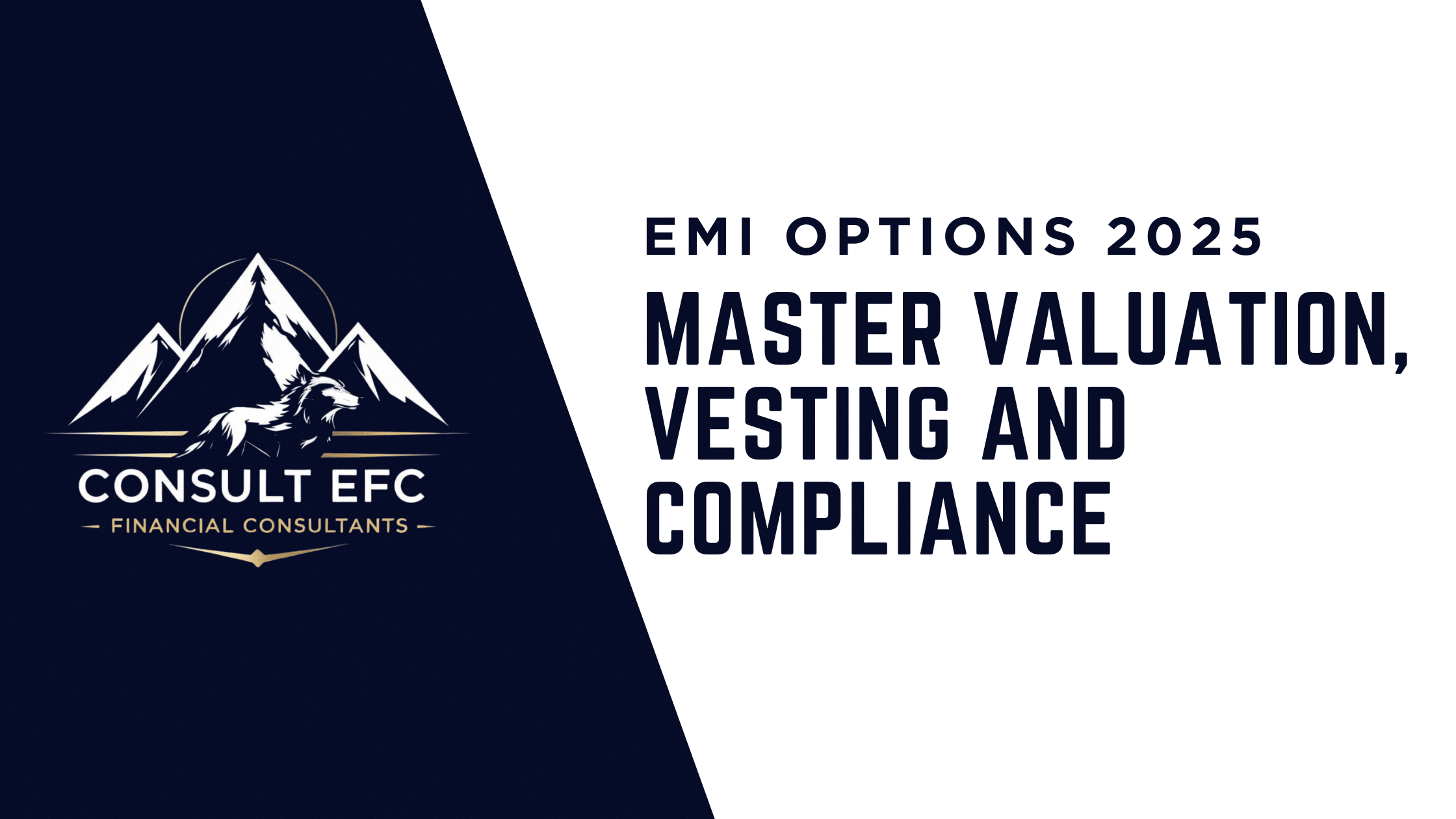 EMI Options 2025: Valuation, Vesting, HMRC Filings | Consult EFC