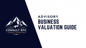 Business Valuation Guide Consult EFC