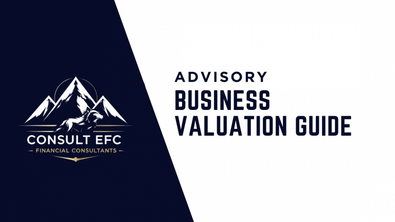 Business Valuation Guide Consult EFC