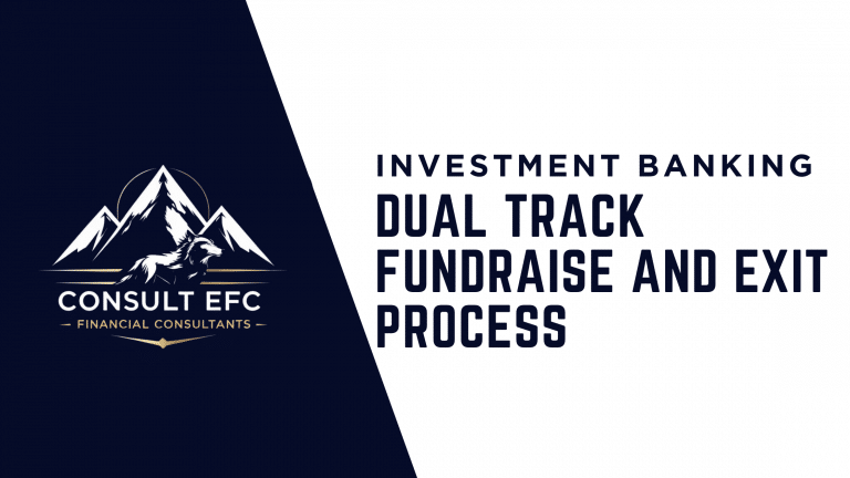 Dual Track Fundraise and Exit Process Consult EFC