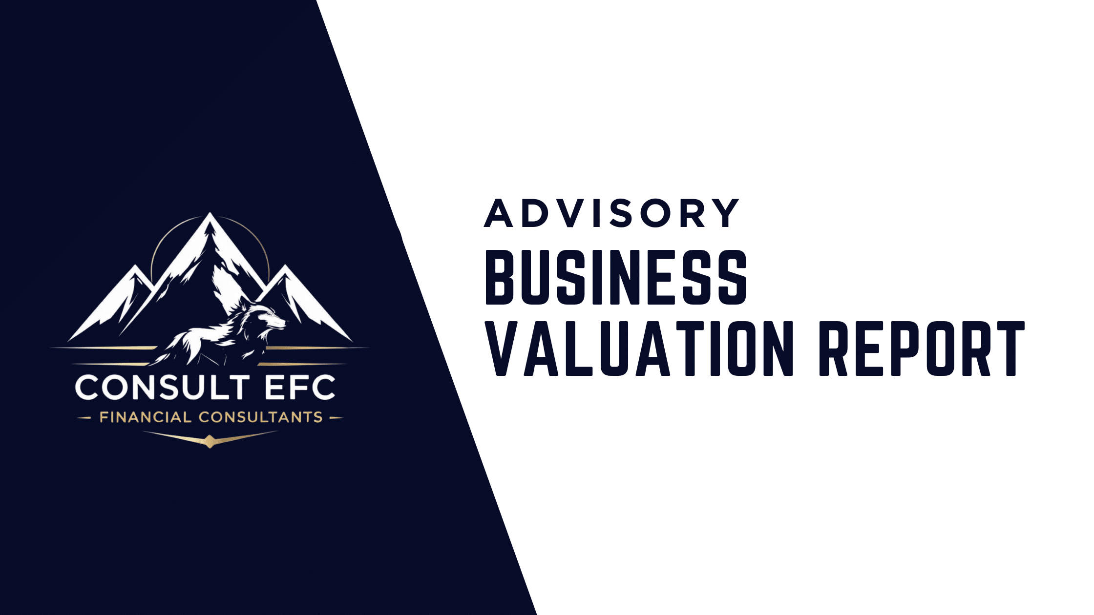 Business Valuation Services Consult EFC