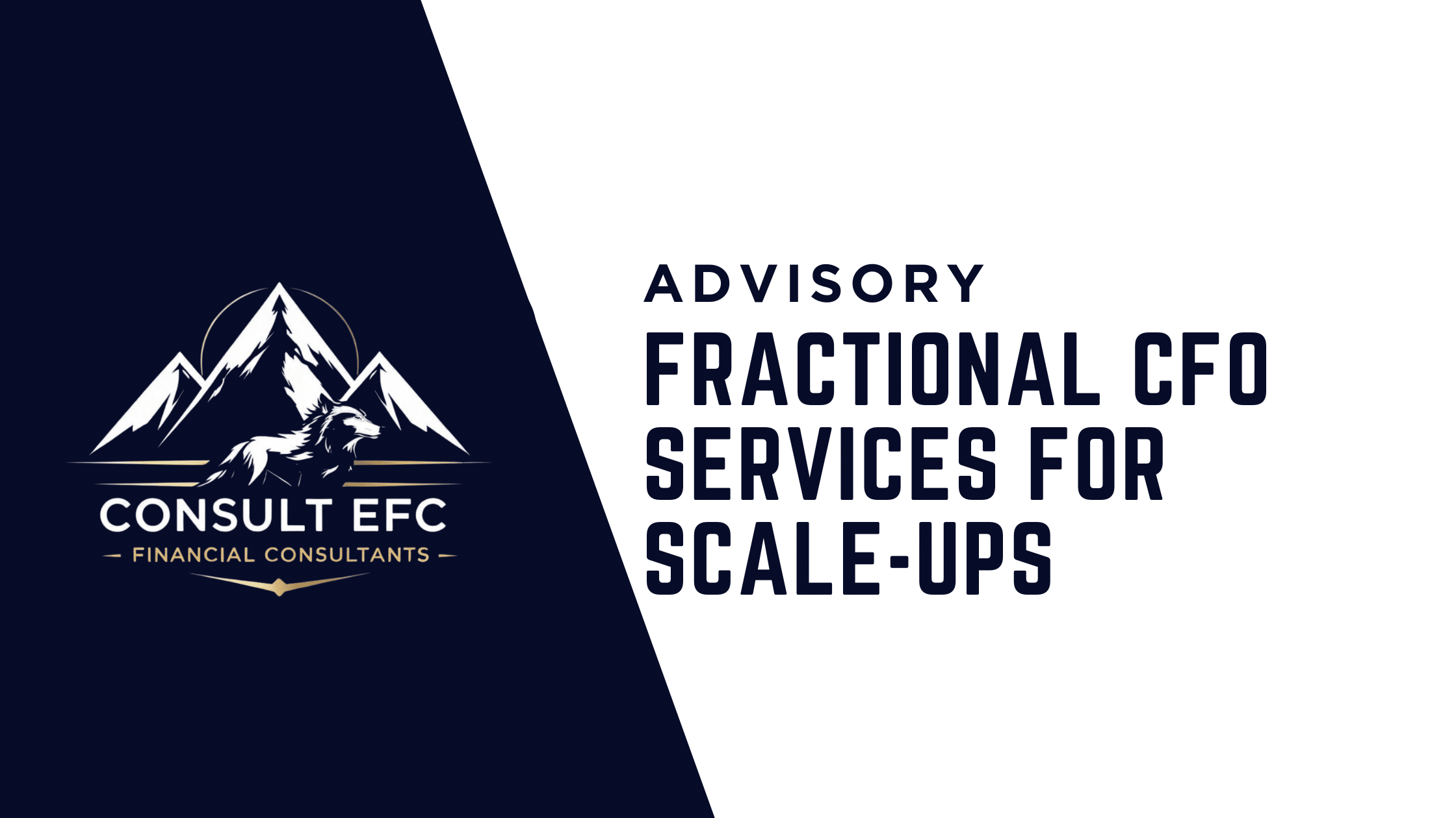 Fractional CFO for Scale-ups ICAEW Consult EFC