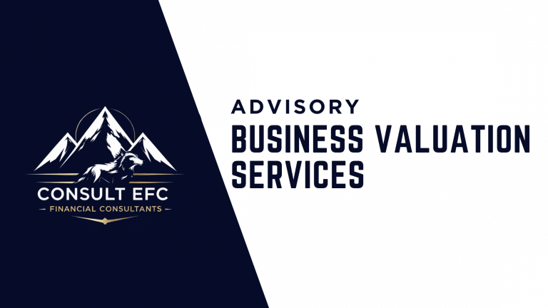 Business Valuation Services Consult EFC