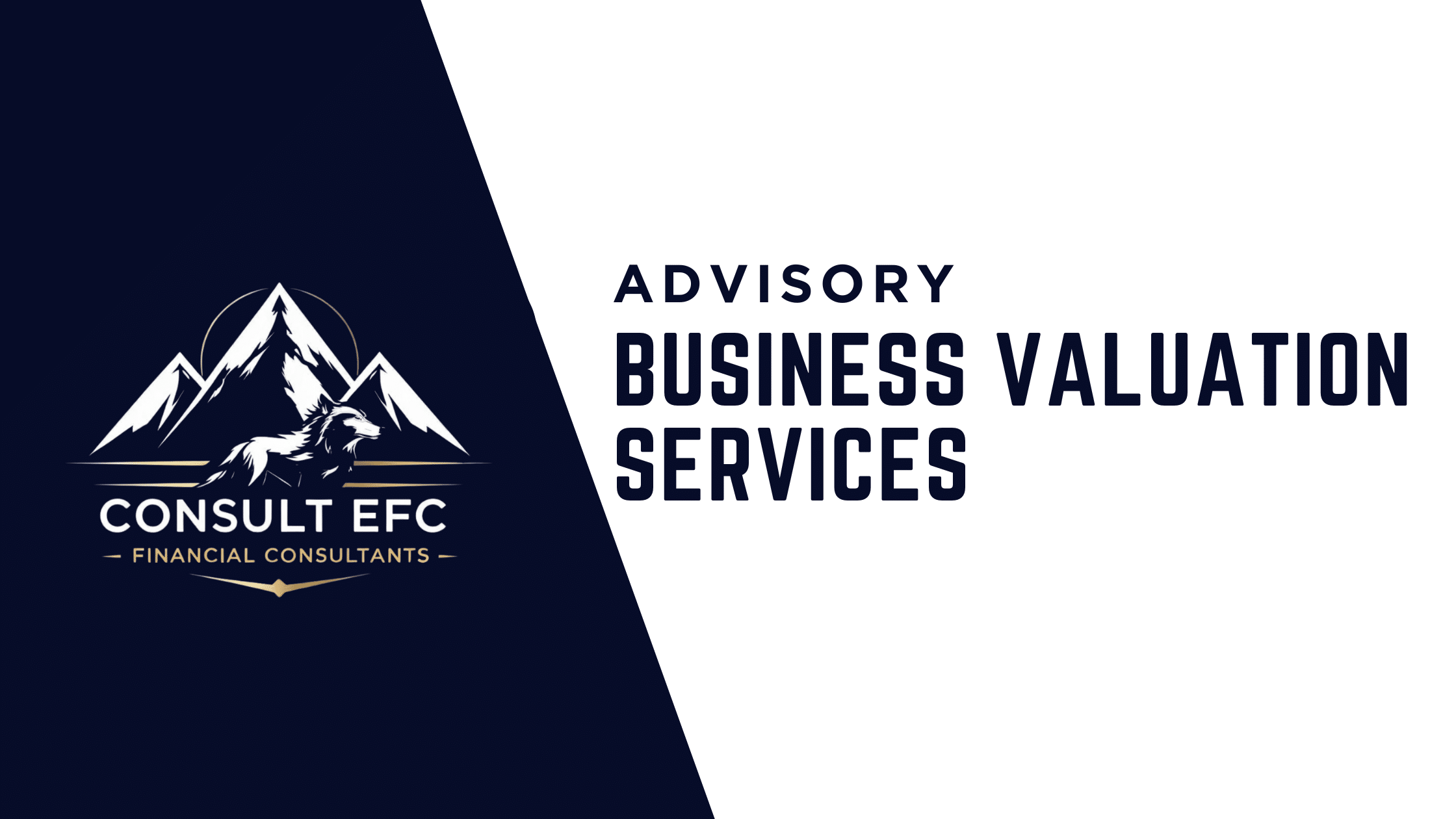Business Valuation Services Consult EFC