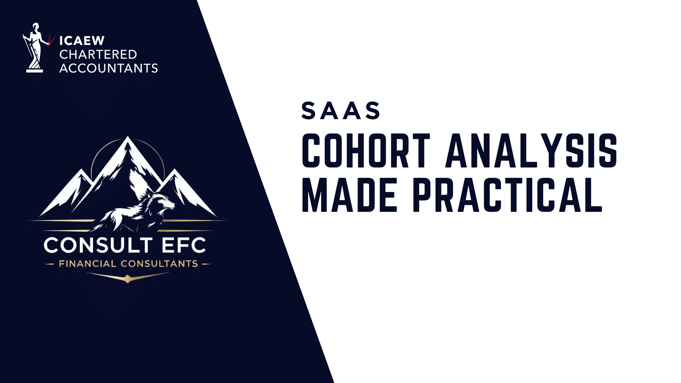SaaS Cohort Analysis Kishen Patel ICAEW Chartered Accountant and Corporate Finance Adviser London Surrey United Kingdom Europe