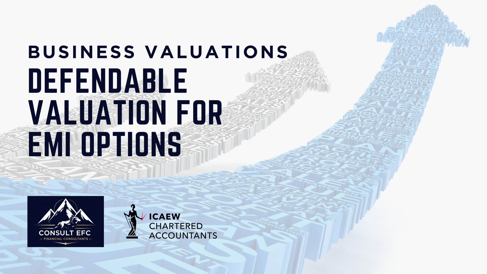 Professional business valuation report for EMI option schemes, featuring financial growth charts and HMRC compliance documentation for UK scale-ups.