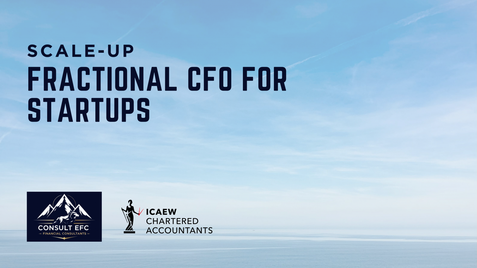 ractional-CFO-for-startups-financial-roadmap-Consult-EFC