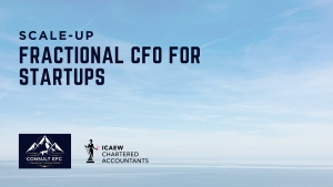 ractional-CFO-for-startups-financial-roadmap-Consult-EFC