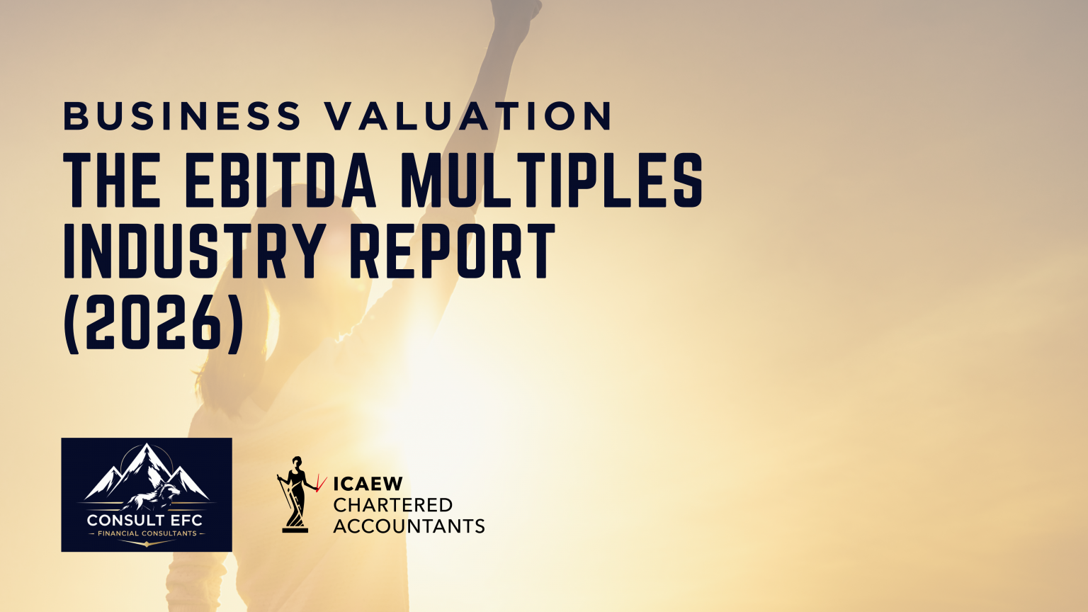 The EBITDA Multiples Industry Report - Kishen Patel