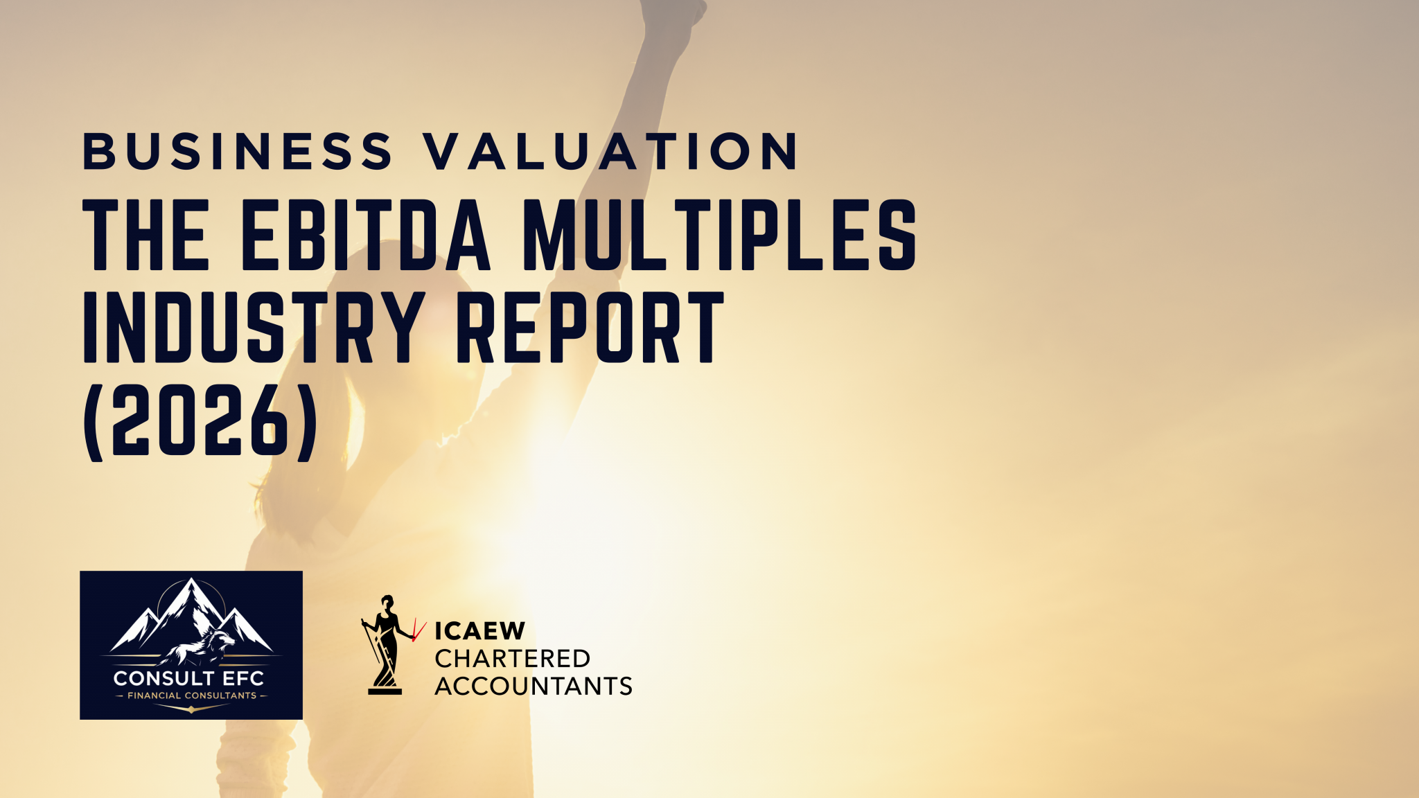 The EBITDA Multiples Industry Report - Kishen Patel