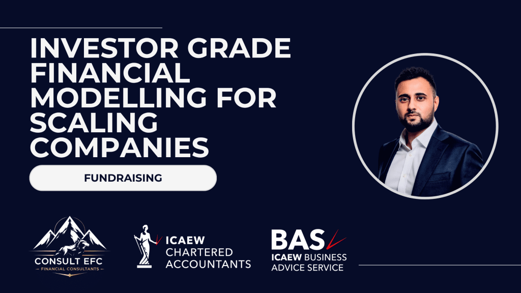 Investor Grade Financial Modelling for Scaling Companies: 15 Minute Audit