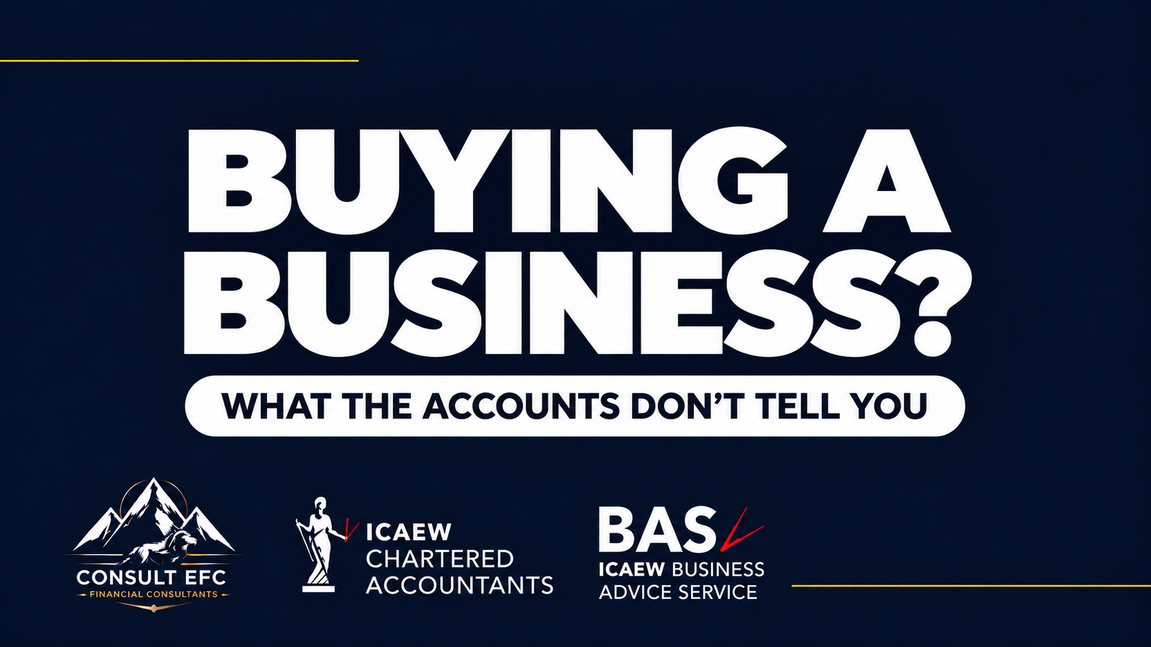 Consult EFC business finance insights