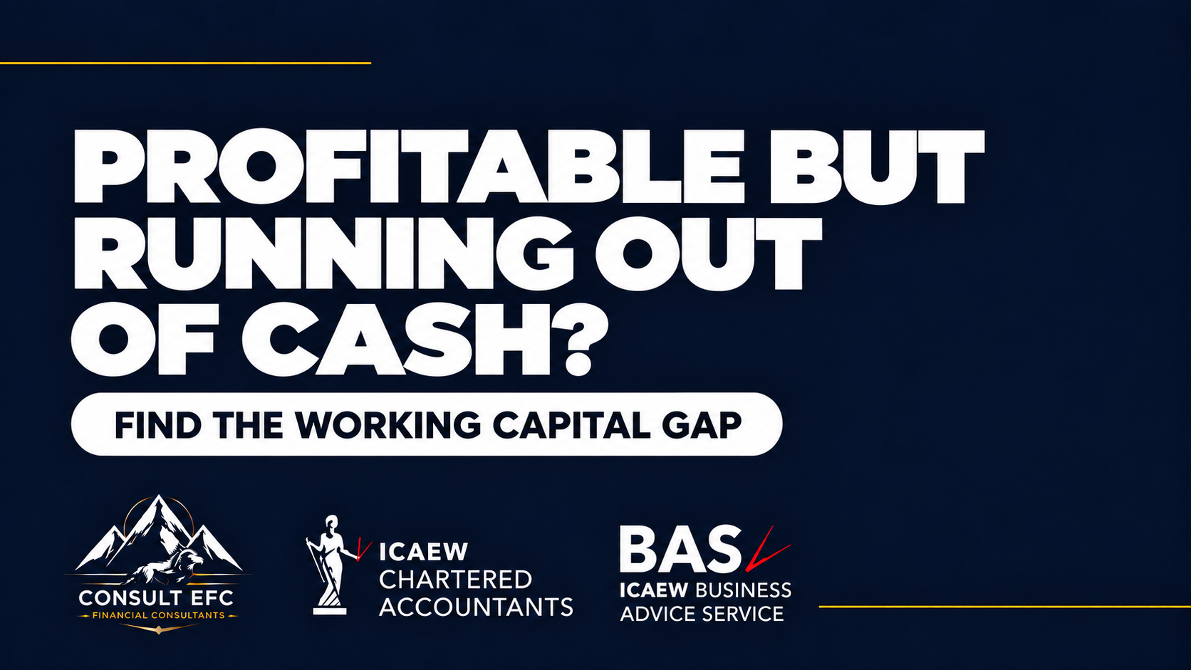 Consult EFC business finance insights