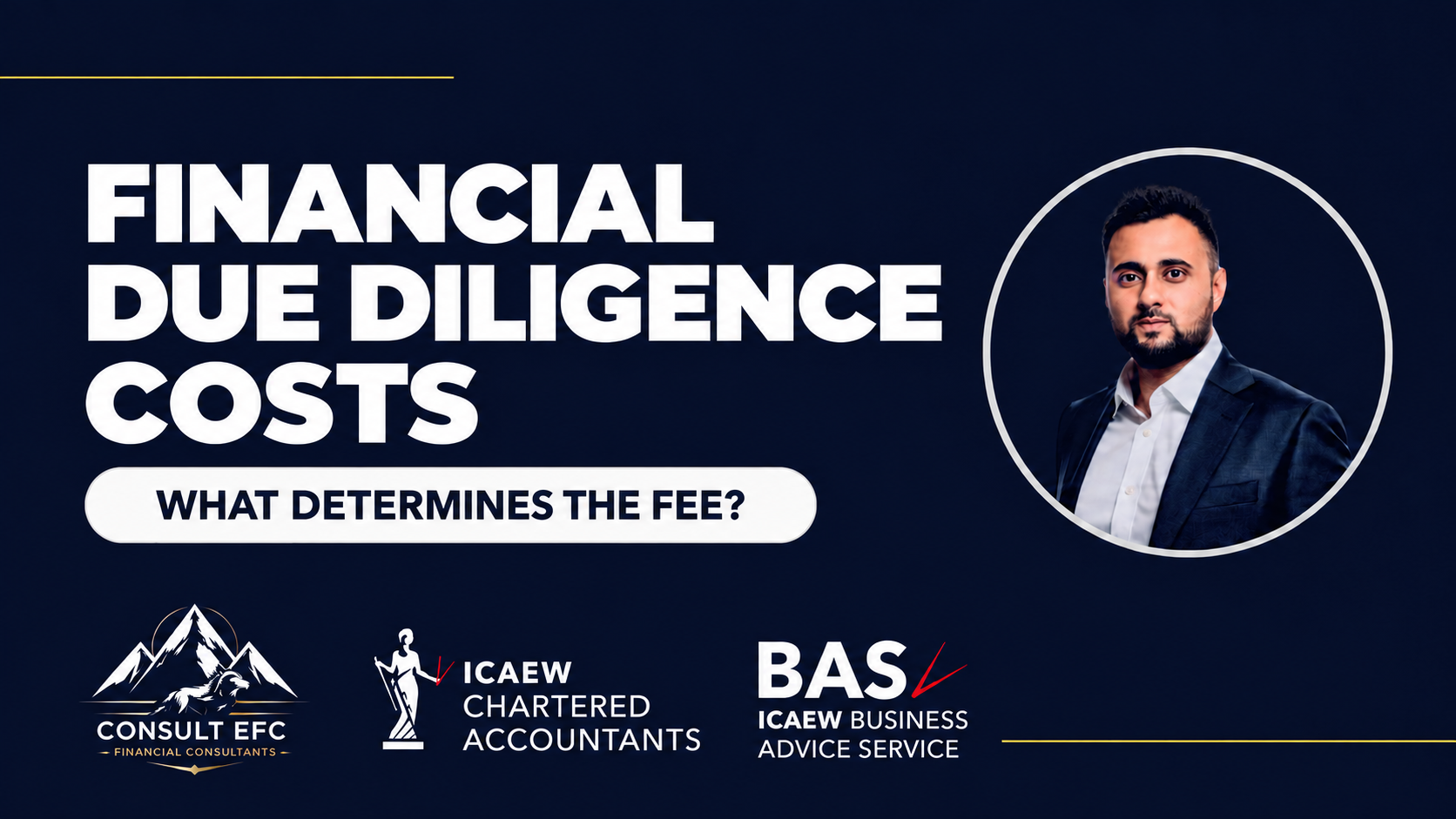 Consult EFC business finance insights