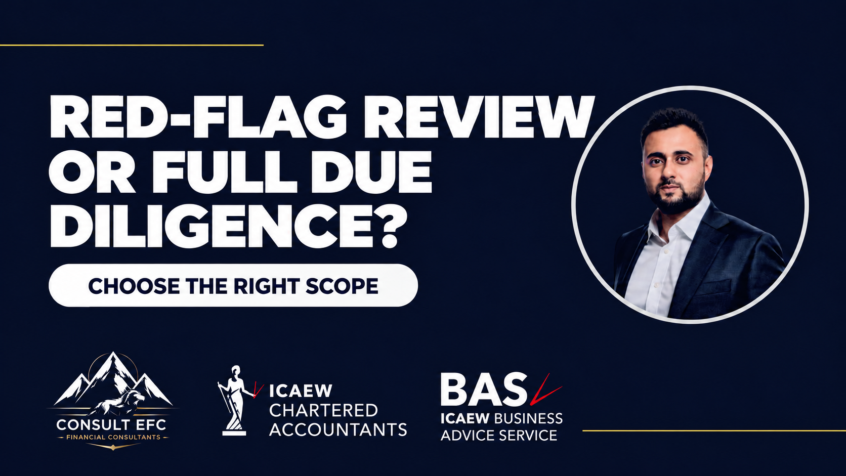 Consult EFC business finance insights